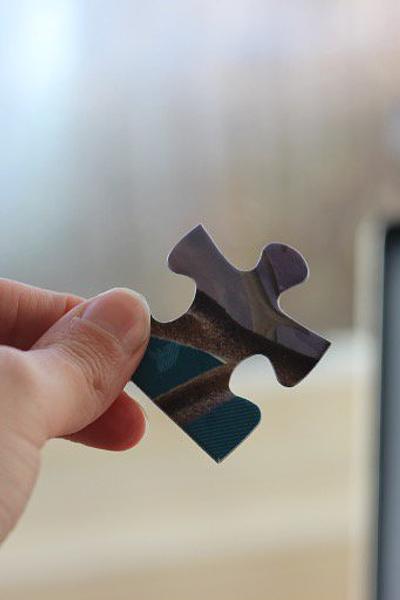 The Connectivity Jigsaw: Assisting Local Authorities to connect the pieces
