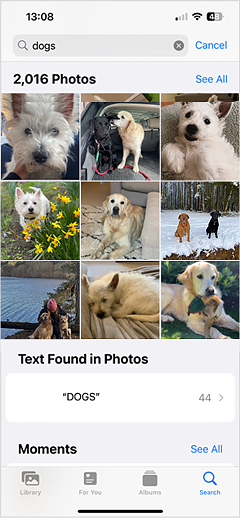 Anna's iPhone search evidence.