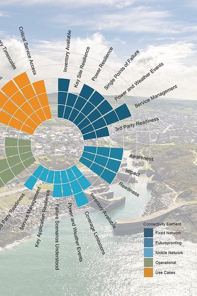 Connectivity Resilience Consultancy
