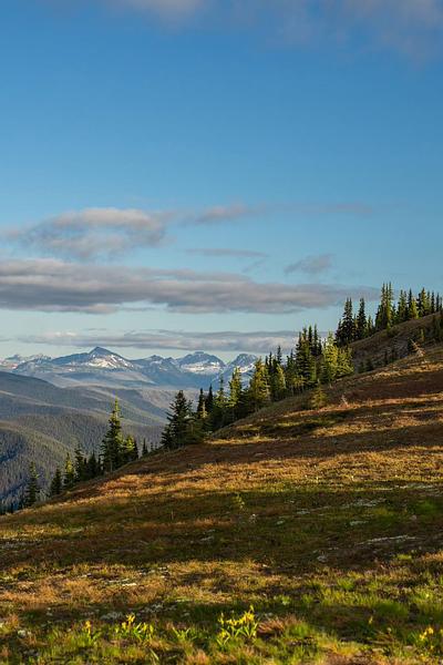 Canada must develop digital policies to reach net zero, FarrPoint report finds